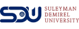 Университет SDU 